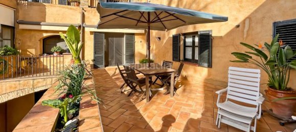 7 bedrooms Townhouse in Castello d'Empuries, Spain No. 83998 2