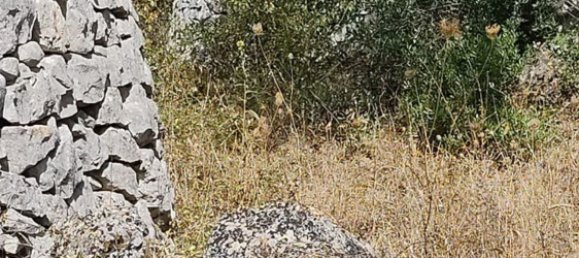 1 Schlafzimmer Haus in Ceglie Messapica, Italy, Nr. 363145 3