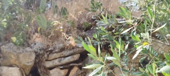 1 Schlafzimmer Haus in Ceglie Messapica, Italy, Nr. 363145 9