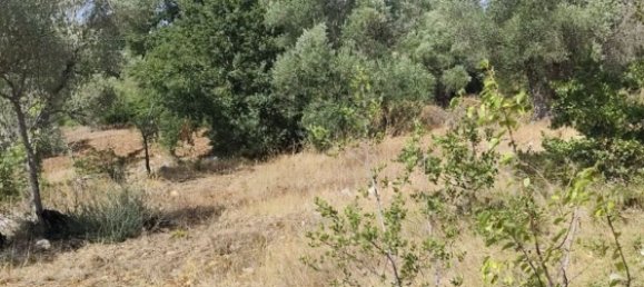 1 Schlafzimmer Haus in Ceglie Messapica, Italy, Nr. 363145 8