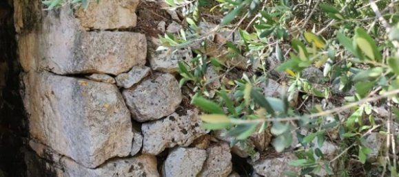 1 Schlafzimmer Haus in Ceglie Messapica, Italy, Nr. 363145 2