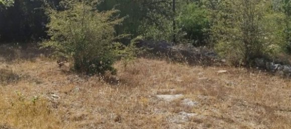 1 Schlafzimmer Haus in Ceglie Messapica, Italy, Nr. 363145 5