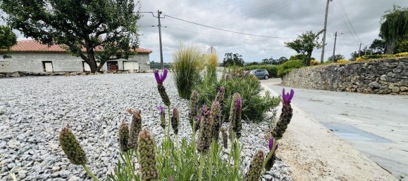 2 Schlafzimmer Haus in Mira de Aire, Portugal, Nr. 278798 4