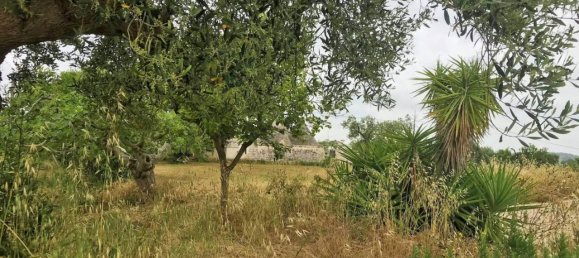 10-Zimmer Haus in Ostuni, Italy, Nr. 176100 5