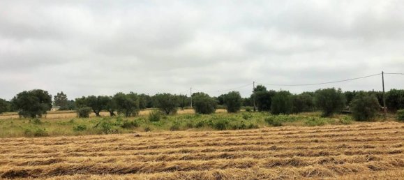 10-Zimmer Haus in Ostuni, Italy, Nr. 176100 4