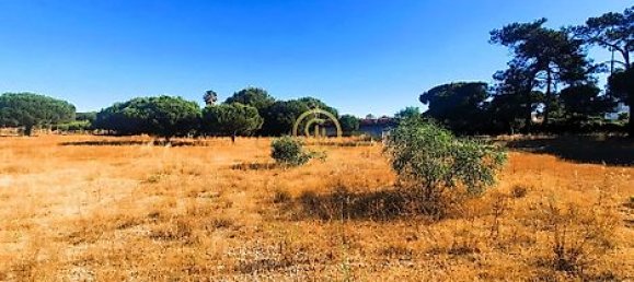  قطعة أرض في Almancil, Portugal 6810متر مربع رقم 15893 15