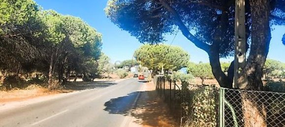  قطعة أرض في Almancil, Portugal 6810متر مربع رقم 15893 11