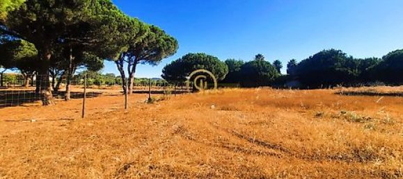  قطعة أرض في Almancil, Portugal 6810متر مربع رقم 15893 8