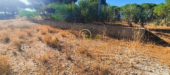  قطعة أرض في Almancil, Portugal 6810متر مربع رقم 15893 26