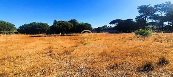  قطعة أرض في Almancil, Portugal 6810متر مربع رقم 15893 9