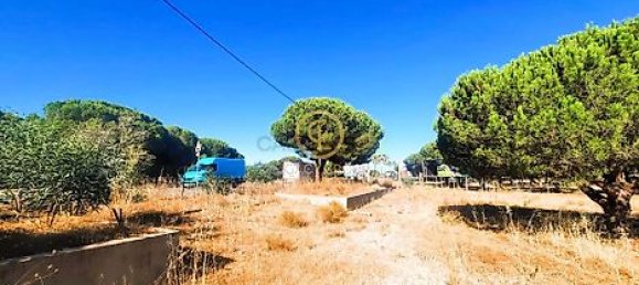  قطعة أرض في Almancil, Portugal 6810متر مربع رقم 15893 7