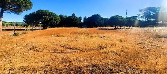  قطعة أرض في Almancil, Portugal 6810متر مربع رقم 15893 12