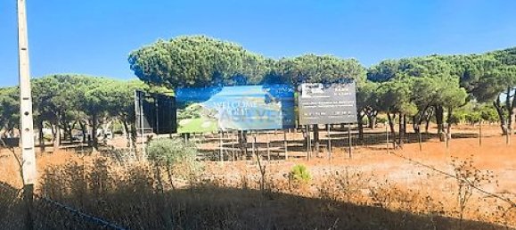  قطعة أرض في Almancil, Portugal 6810متر مربع رقم 15893 23