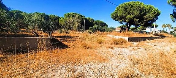  قطعة أرض في Almancil, Portugal 6810متر مربع رقم 15893 21