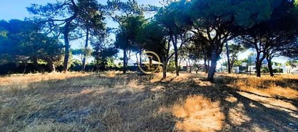  قطعة أرض في Almancil, Portugal 6810متر مربع رقم 15893 28