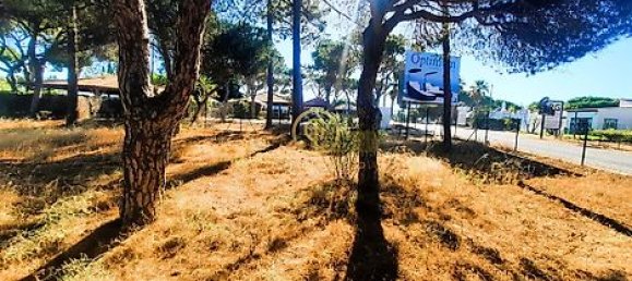  قطعة أرض في Almancil, Portugal 6810متر مربع رقم 15893 16