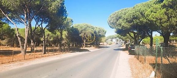  قطعة أرض في Almancil, Portugal 6810متر مربع رقم 15893 18