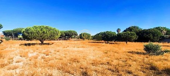  قطعة أرض في Almancil, Portugal 6810متر مربع رقم 15893 4