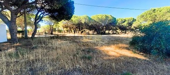  قطعة أرض في Almancil, Portugal 6810متر مربع رقم 15893 22