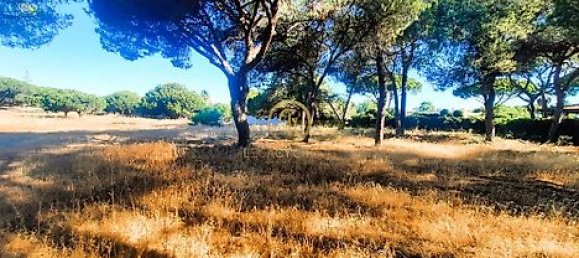  قطعة أرض في Almancil, Portugal 6810متر مربع رقم 15893 5