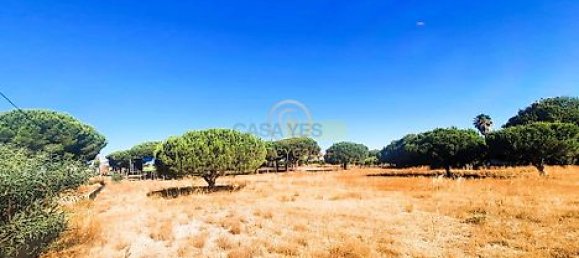  قطعة أرض في Almancil, Portugal 6810متر مربع رقم 15893 29