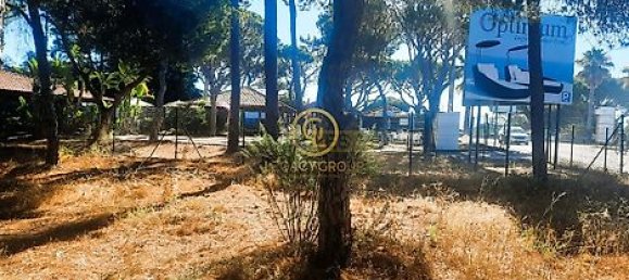  قطعة أرض في Almancil, Portugal 6810متر مربع رقم 15893 27