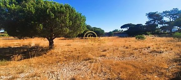  قطعة أرض في Almancil, Portugal 6810متر مربع رقم 15893 24