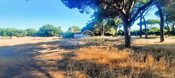  قطعة أرض في Almancil, Portugal 6810متر مربع رقم 15893 17