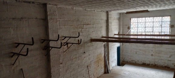 Gewerbliche Immobilie in Chartered Community of Navarre, Spain 666m², Nr. 32711 15