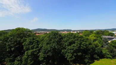 1 Schlafzimmer Wohnung in Wiener Neudorf, Austria, Nr. 126439