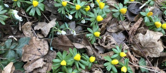 Studio à Kloch, Austria No. 136948 19