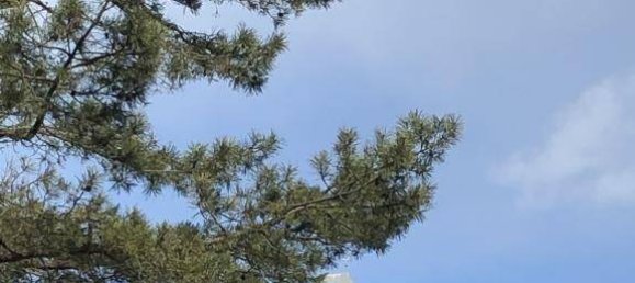 Studio à Kloch, Austria No. 136948 18