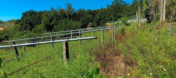 850m² Land in Pontevedra, Spain No. 113597 5