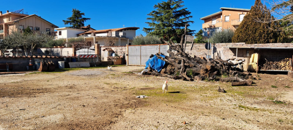 Grundstück in Rome, Italy 1000m², Nr. 296949 3