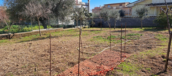 Grundstück in Rome, Italy 1000m², Nr. 296949 2