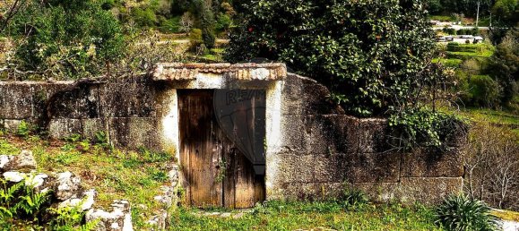 3 غرف نوم منزل في Marco de Canaveses, Portugal رقم 188590 7