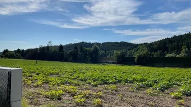  Land in Gleisdorf, Austria No. 241864