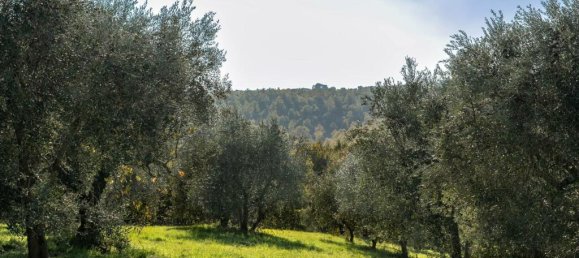 3 Schlafzimmer Haus in Città della Pieve, Italy, Nr. 56449 11
