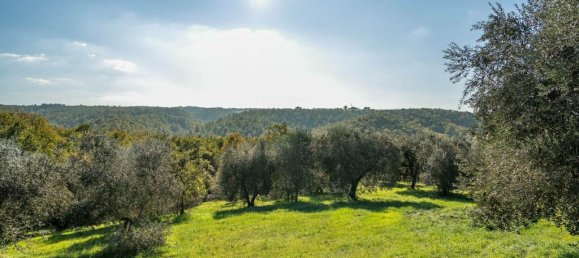 3 Schlafzimmer Haus in Città della Pieve, Italy, Nr. 56449 12