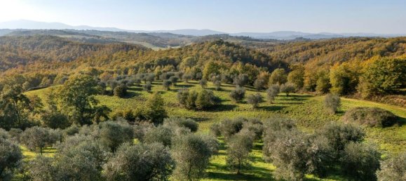 3 Schlafzimmer Haus in Città della Pieve, Italy, Nr. 56449 13