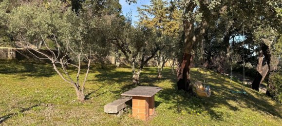6 rooms Villa in Luras, Italy No. 171563 28