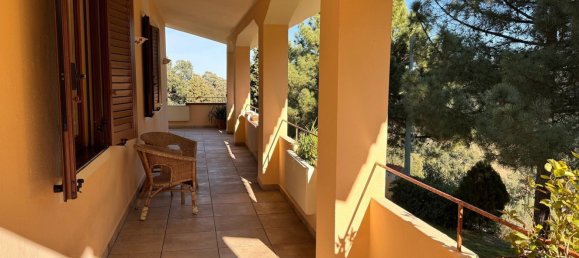 6 rooms Villa in Luras, Italy No. 171563 26