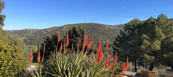 6 rooms Villa in Luras, Italy No. 171563 31