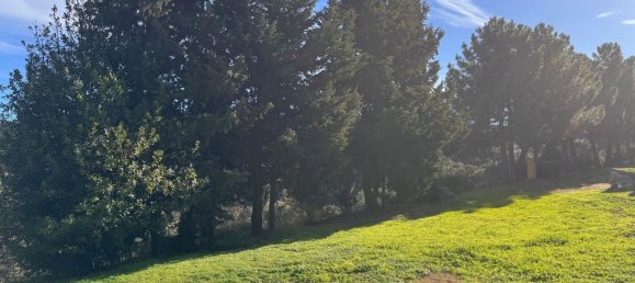 6 rooms Villa in Luras, Italy No. 171563 17