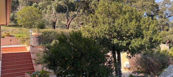 6 rooms Villa in Luras, Italy No. 171563 5