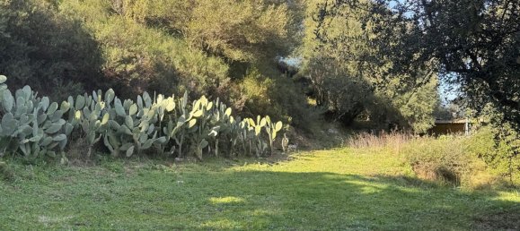 6 rooms Villa in Luras, Italy No. 171563 29