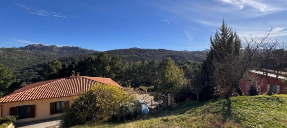 6 rooms Villa in Luras, Italy No. 171563 25