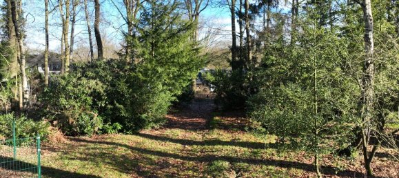 6 rooms Townhouse in Warendorf, Germany No. 143908 10