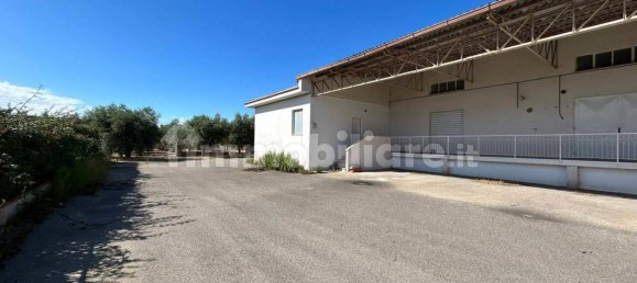 5-salle Entrepôt à San Vito Chietino, Italy No. 68256 9