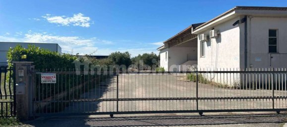 5-salle Entrepôt à San Vito Chietino, Italy No. 68256 8